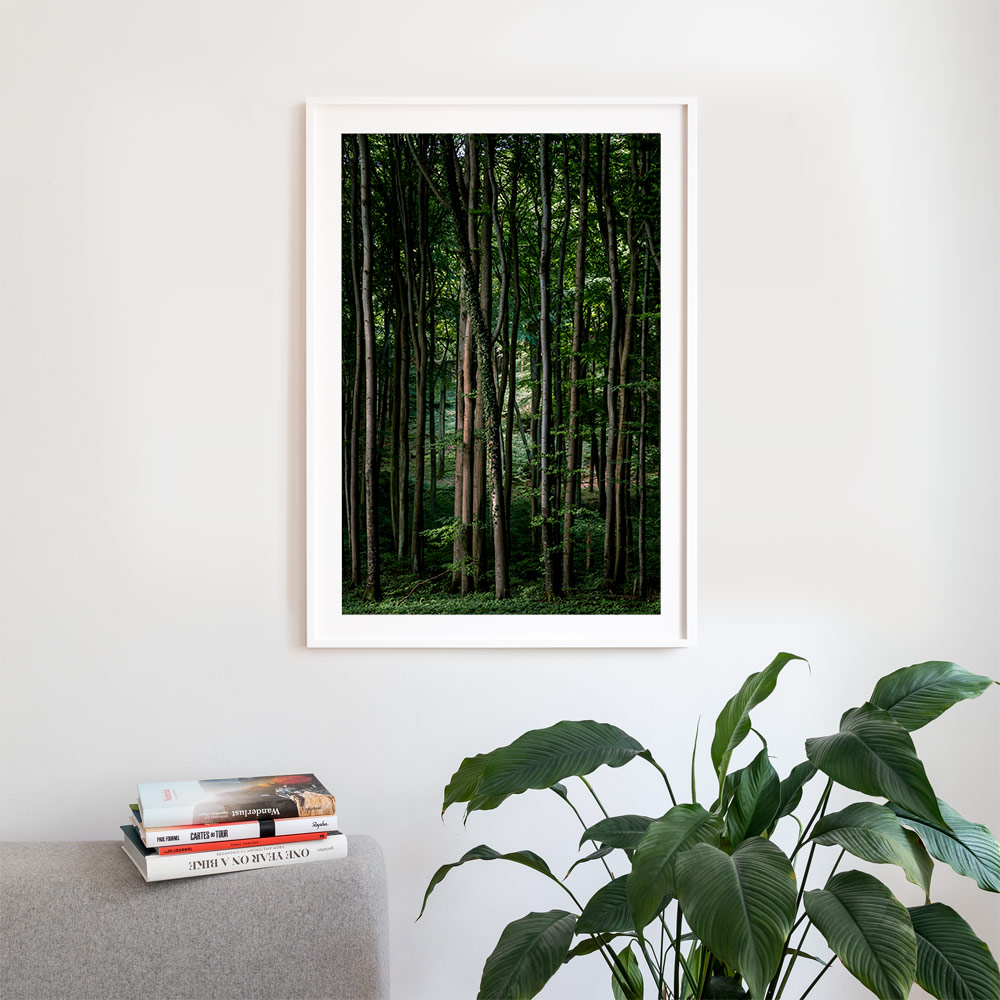 Jasmund – Limited Edition Print | Markus Remscheid