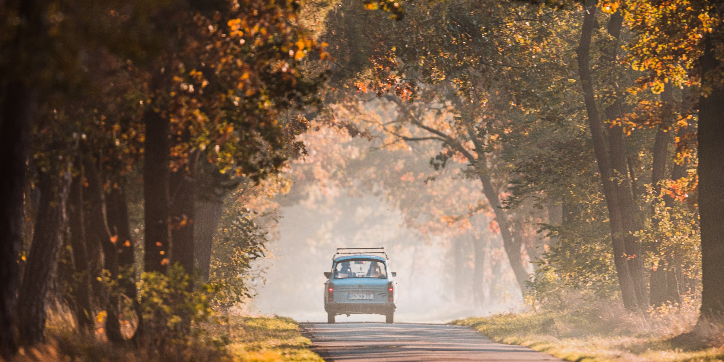 Trabi in a tree tunnel in Brandenburg