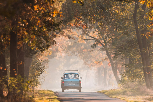 Trabi in a tree tunnel in Brandenburg
