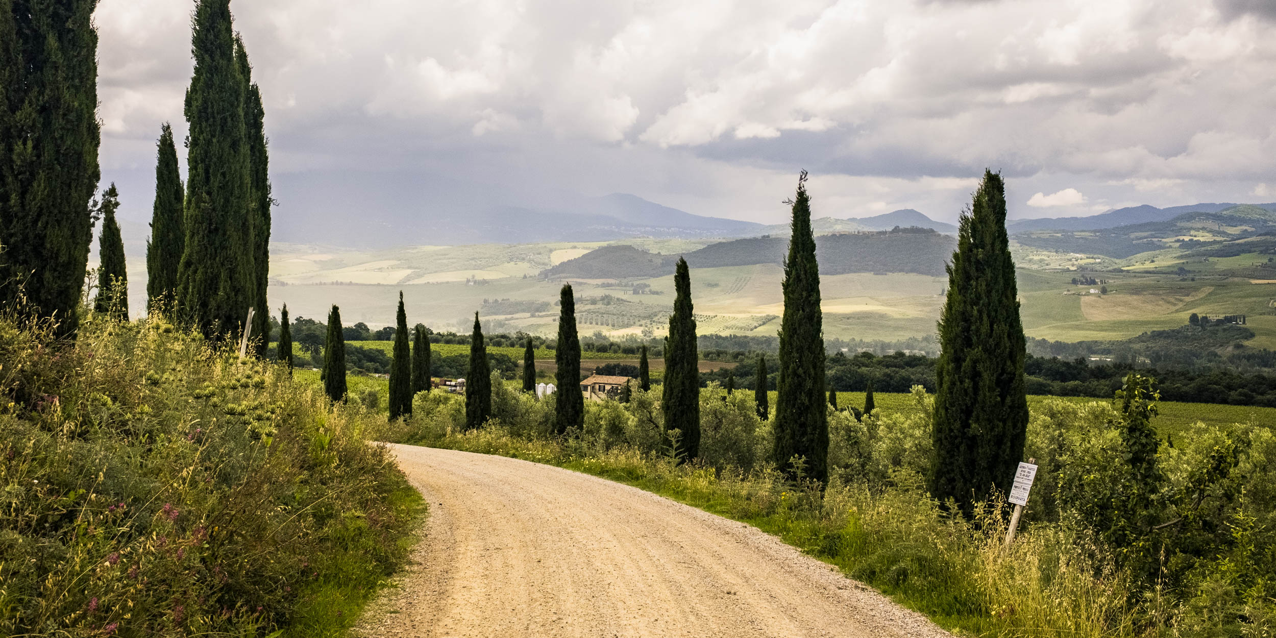 Toskanische Strade Branche gesäumt von Zypressen mit typischen Hügellandschaft im Hintergrund
